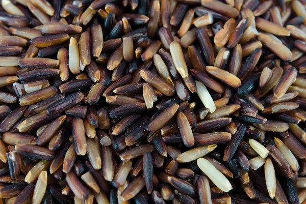 Brown Rice — Stock Photo, Image