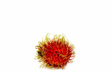 Rambutan