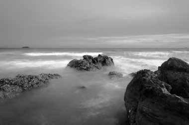 siyah ve beyaz manzara