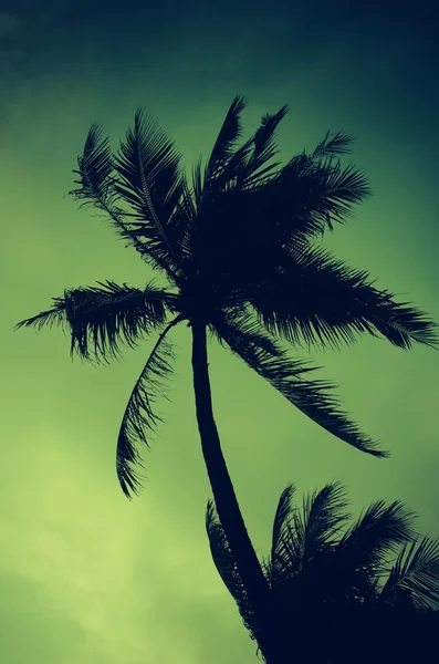 Palmen Jahrgang — Stockfoto