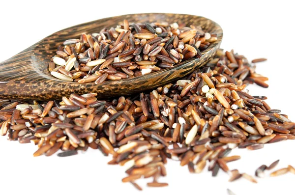 Brown Rice — Stock Photo, Image