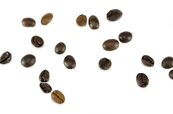 Coffee beans — Stock Photo, Image