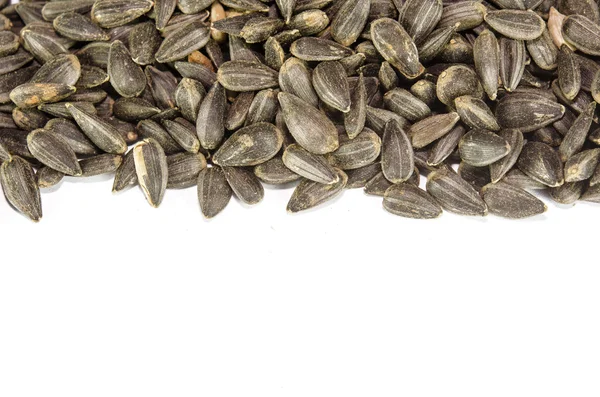 Sunflower seeds — Stock Photo, Image