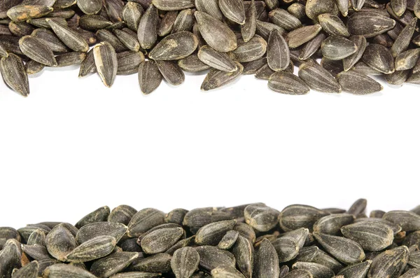 Sunflower seeds — Stock Photo, Image