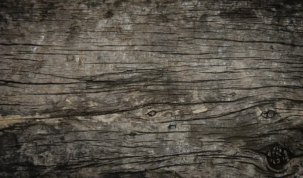 Consistenza del legno di corteccia — Foto Stock