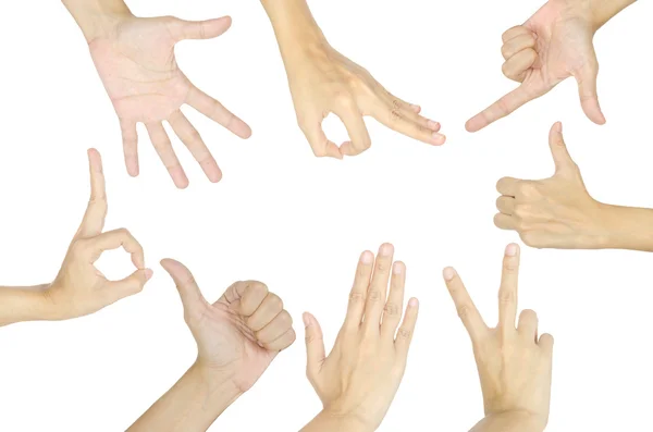 Set of female hand Stock Picture