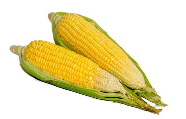 Corn — Stock Photo, Image