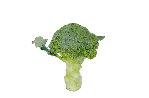Broccoli isolated — Stock Photo, Image
