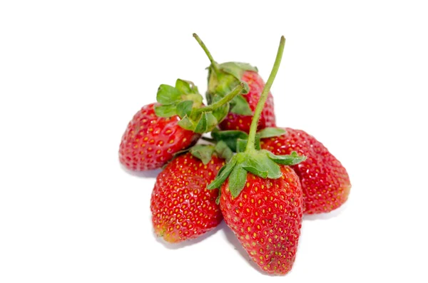 Erdbeere isoliert — Stockfoto