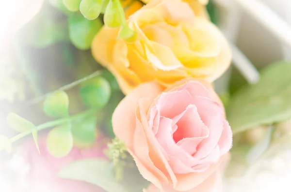 Roze en gele rozen — Stockfoto