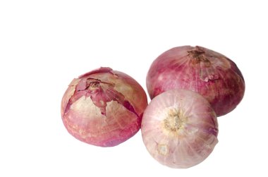 arpacık beyaz arka plan