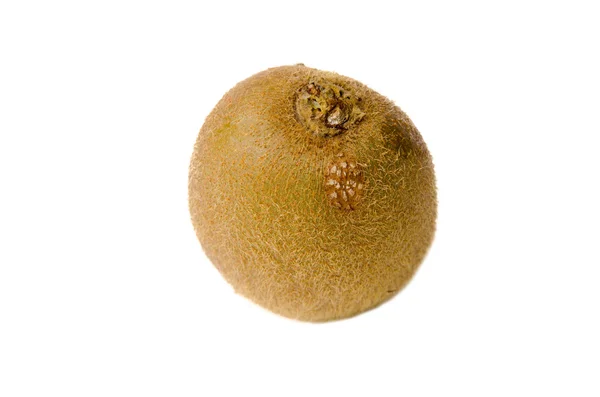 Kiwi white background — Stock Photo, Image