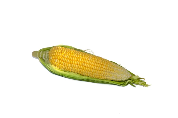 Corn isolated white — Stock Photo, Image