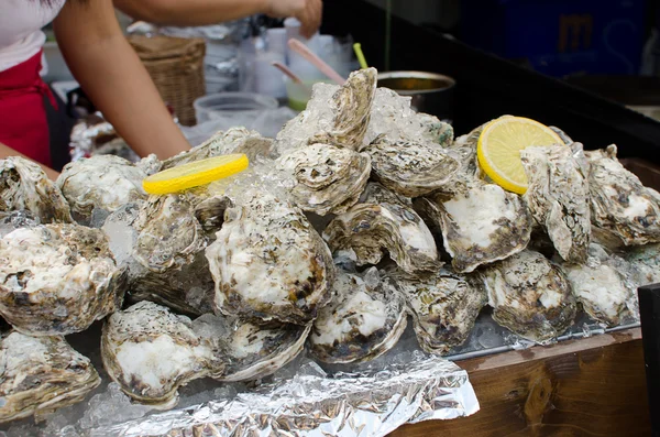 Fresh shell oyster — Stock Photo, Image