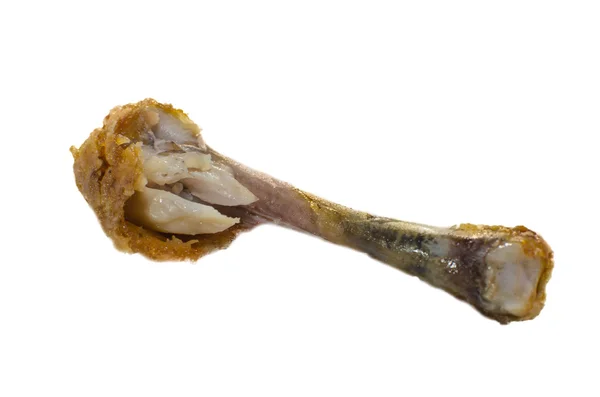 L'osso di pollo — Foto Stock