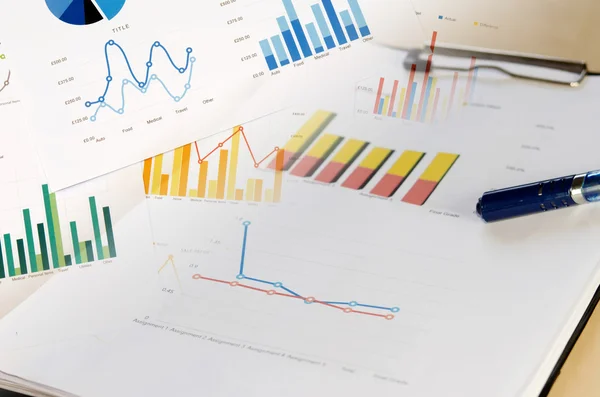 Gráfico de informe empresarial —  Fotos de Stock