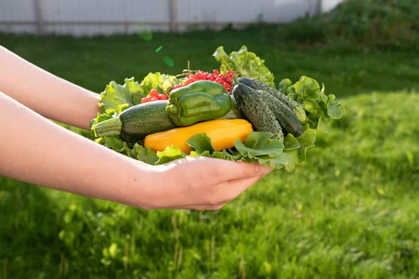 야채가 커다란 접시를 유기농 음식의 개념입니다 선택적 — 스톡 사진