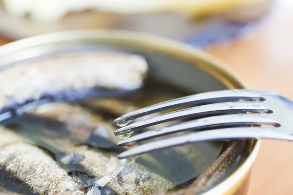 Tenedor y alimentos enlatados — Foto de Stock