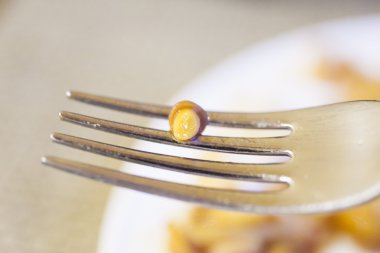 çatal üzerinde mantar