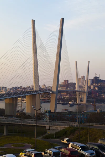 Puente colgante grande —  Fotos de Stock