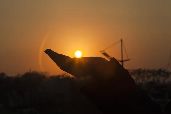 O sol em uma mão — Fotografia de Stock