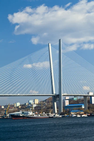 Grande ponte de suspensão — Fotografia de Stock