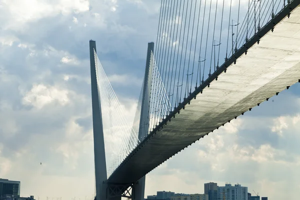 Puente colgante grande — Foto de Stock