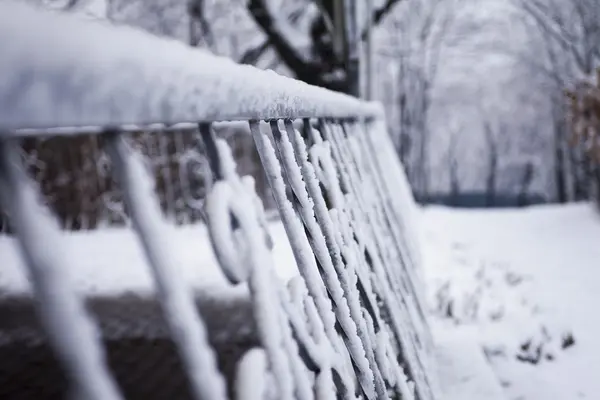 Nieve en una esgrima — Foto de Stock