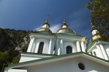 Ortodoks Kilisesi