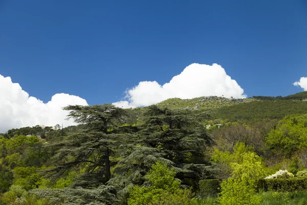 bulutlar dağlar üzerinde