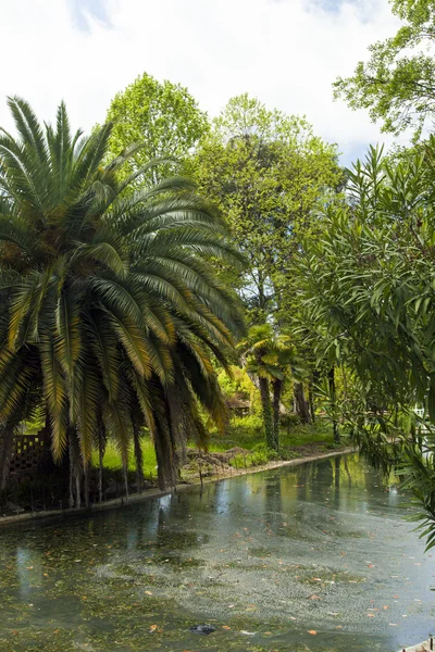 Stadtweiher — Stockfoto