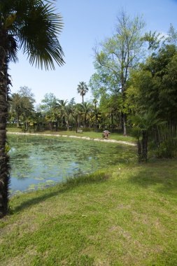 palmiye Park