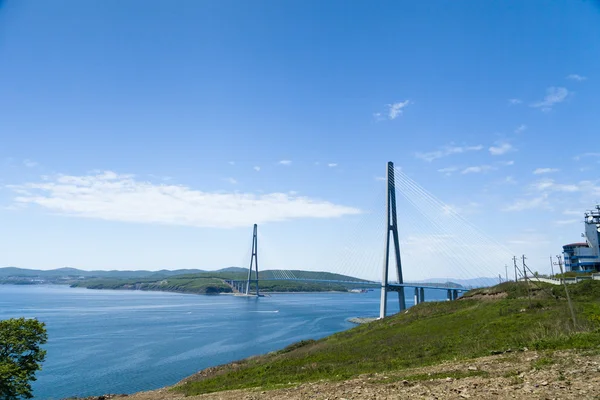 Great suspension bridge — Stok fotoğraf