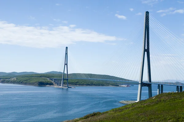 Great suspension bridge Εικόνα Αρχείου