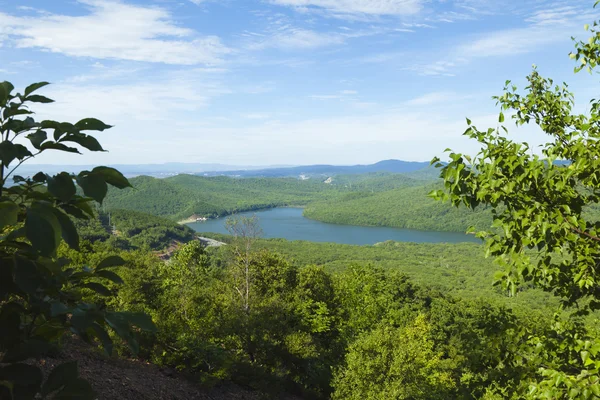 Green hills — Stock Photo, Image