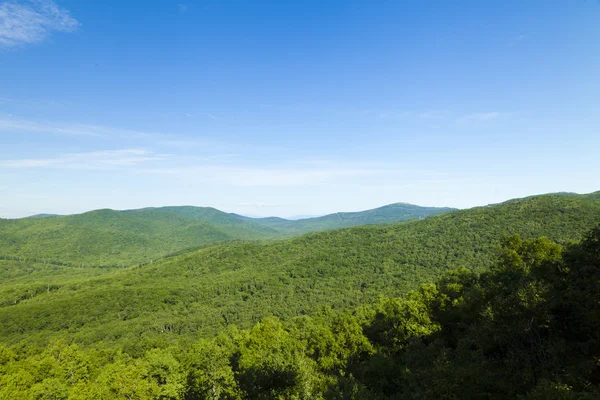 Green hills — Stock Photo, Image