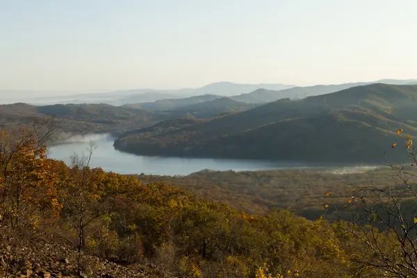 Vista para a floresta de outono — Fotografia de Stock