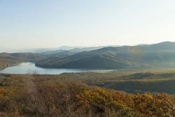 Vue sur la forêt d'automne — Photo