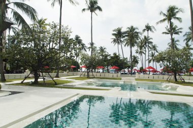 Palmiye ağaçları havuzun üzerinde