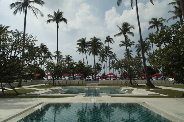 Palmbomen over het zwembad — Stockfoto