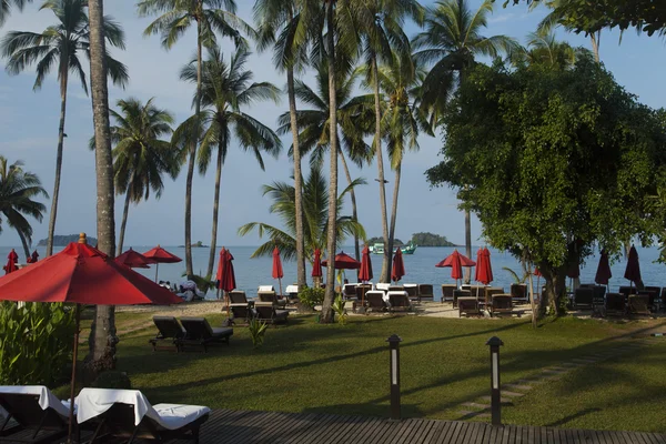 Palmeras junto al mar — Foto de Stock