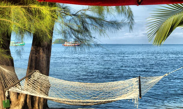 Palm trees by the sea — Stock Photo, Image