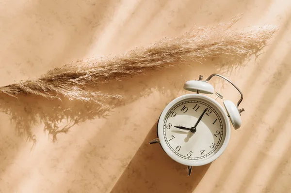 Alarme de relógio e grama pampas no fundo bege. Conceito de estilo Boho. Filtro de cor vintage — Fotografia de Stock