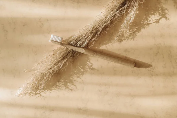 Cepillo Dientes Bambú Hierba Pampas Sobre Fondo Beige Cero Residuos — Foto de Stock