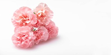 Beyaz arka planda izole edilmiş pembe karanfil buketinin yakın fotoğrafını çek.