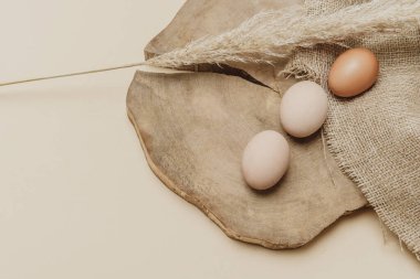 Kahverengi otlu otlar ve doğal bej arka planda yumurtalar. Sıfır atık doğu konsepti. Çevre dostu yaşam tarzı, kopyalama alanı