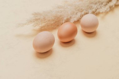 Kahverengi otlu otlar ve doğal bej arka planda yumurtalar. Sıfır atık doğu konsepti. Çevre dostu yaşam tarzı, kopyalama alanı