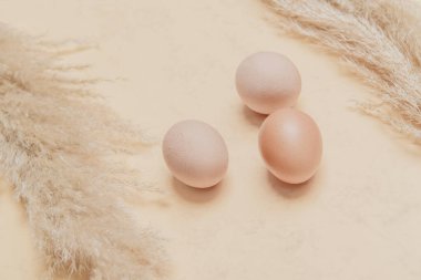 Kahverengi otlu otlar ve doğal bej arka planda yumurtalar. Sıfır atık doğu konsepti. Çevre dostu yaşam tarzı, kopyalama alanı