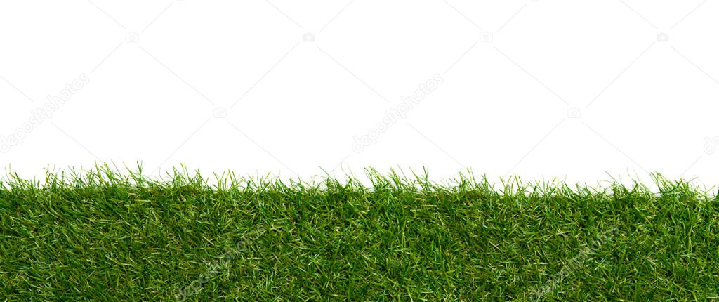Green grass borders for decoration and covering on white background