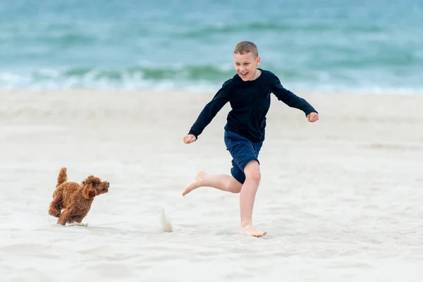 Gelukkige Jongen Die Met Haar Hond Het Strand Rent Buitenactiviteiten — Stockfoto